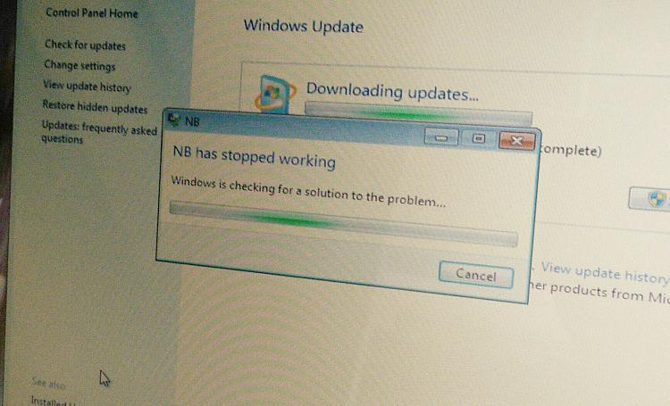 Windows Has Stopped Working Error